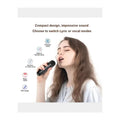 Havit SK819BT Mini Karaoke Bluetooth Speaker Black مكبر صوت - 6